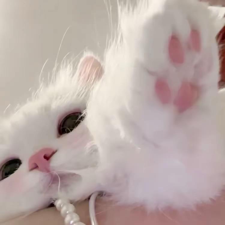 撒点盐