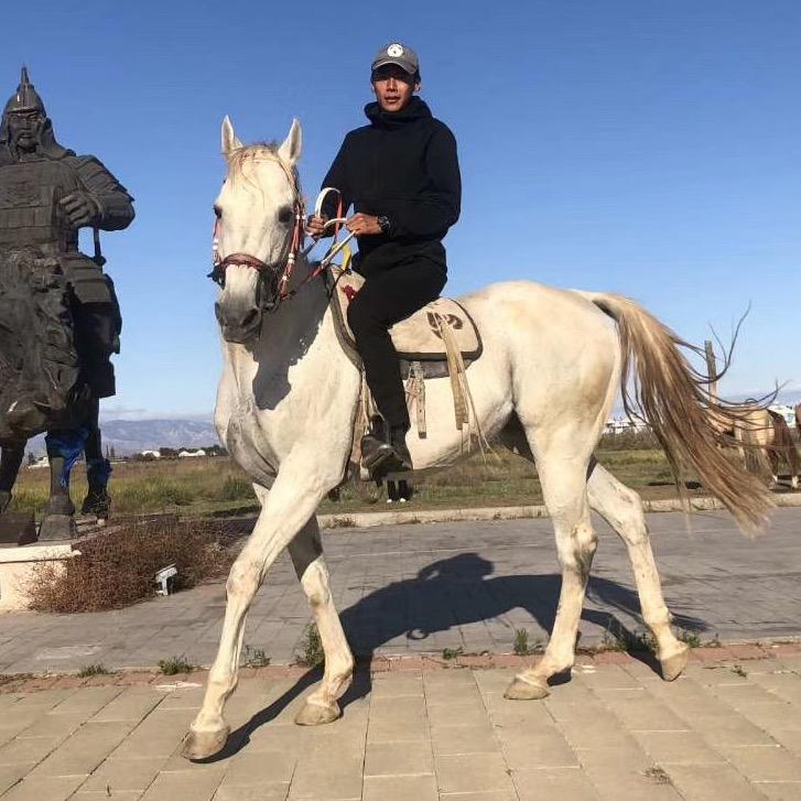 思达林