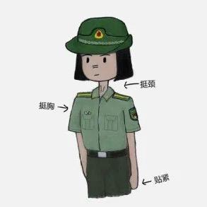 大懒猫☆