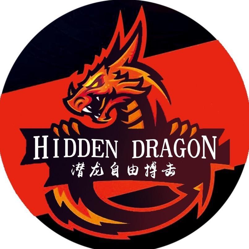 潜龙格斗（少儿搏击散打教学）