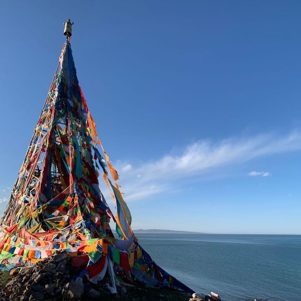 ⚜️玲玲子⚜️