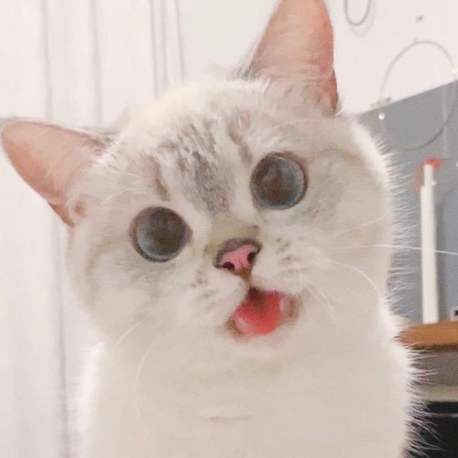 谁言豆族无大帝！？