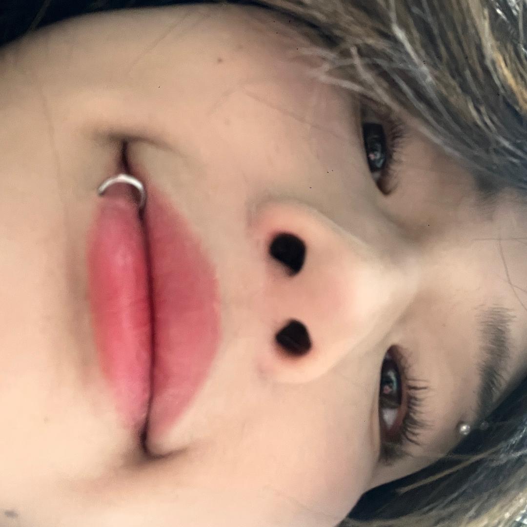 懒喵喵@