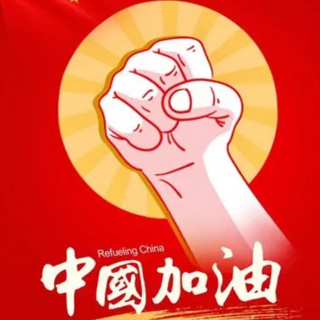 一只加菲猫H
