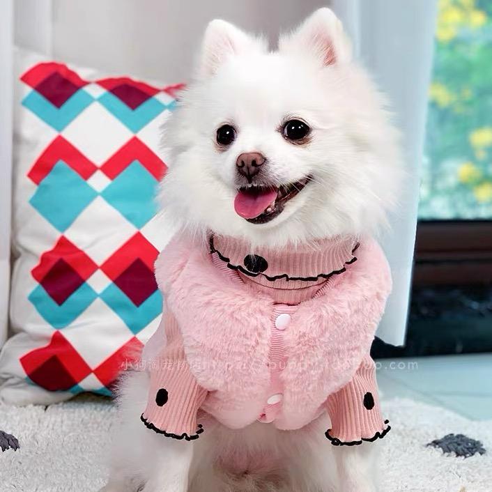 竹笋是只比熊罐罐