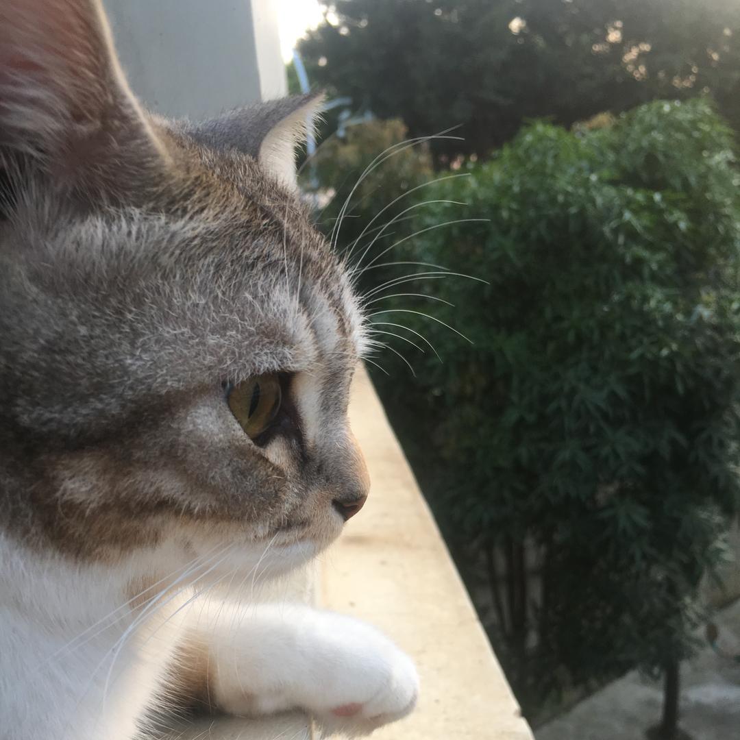 阿梁南宁电动车