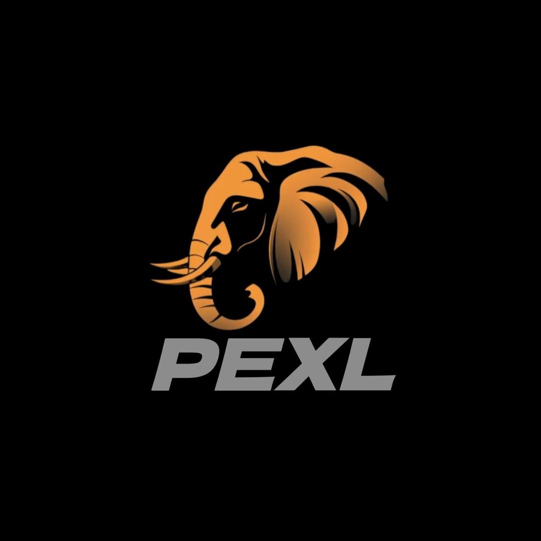 胖象PEXL