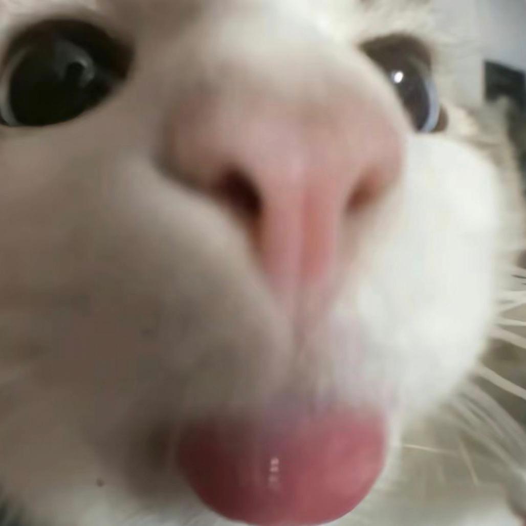 怡 怡