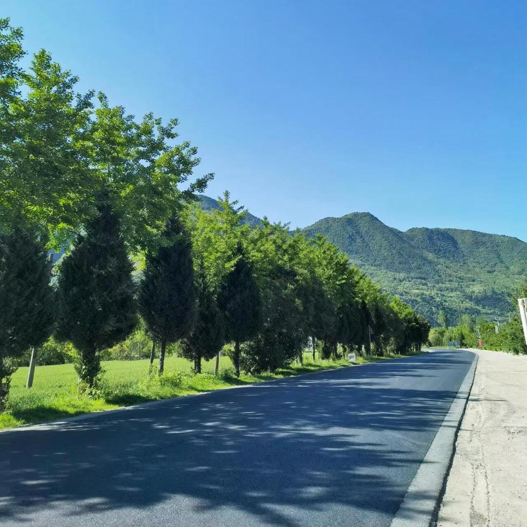 小梁小梁 温柔善良