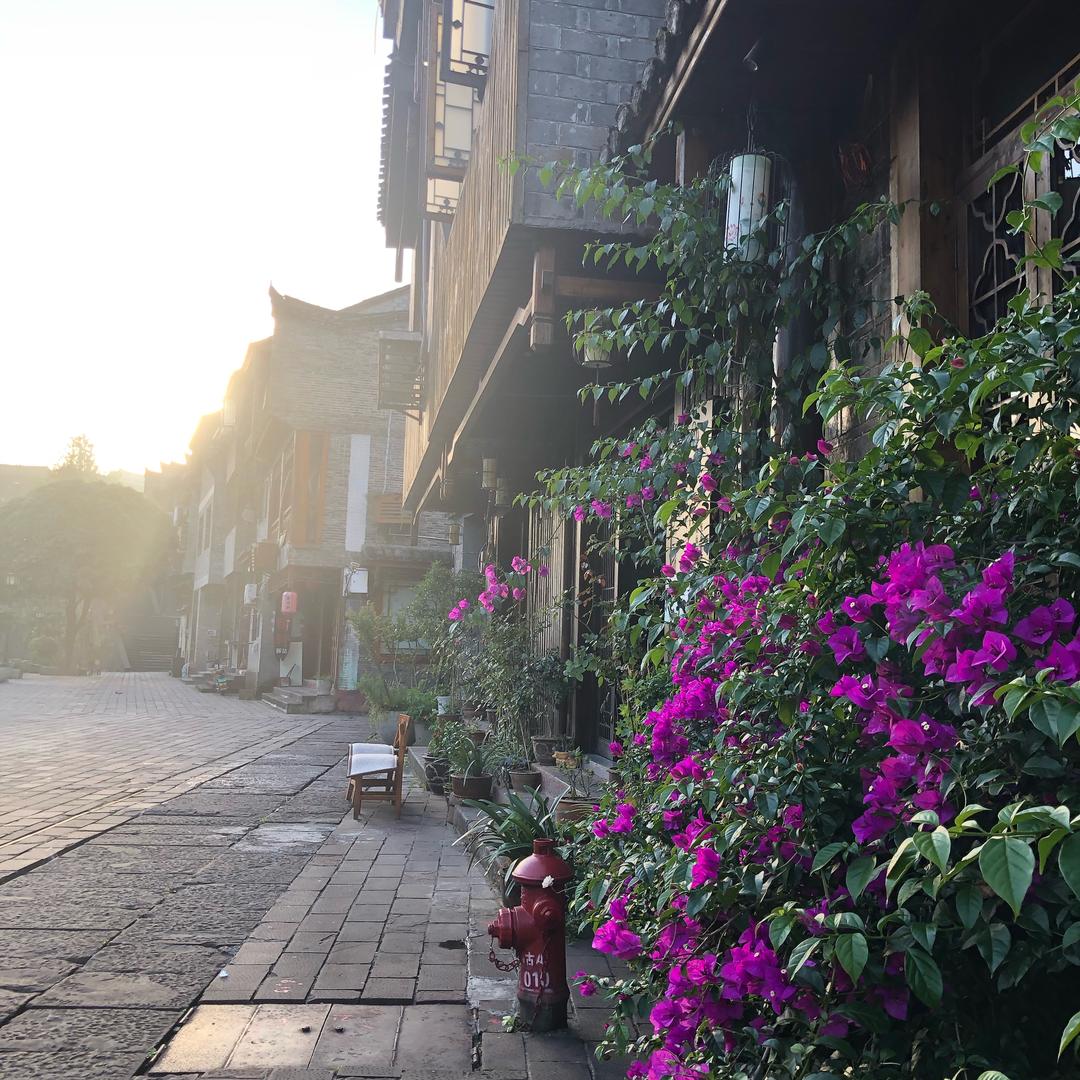 手机用户似肆流年终若雨