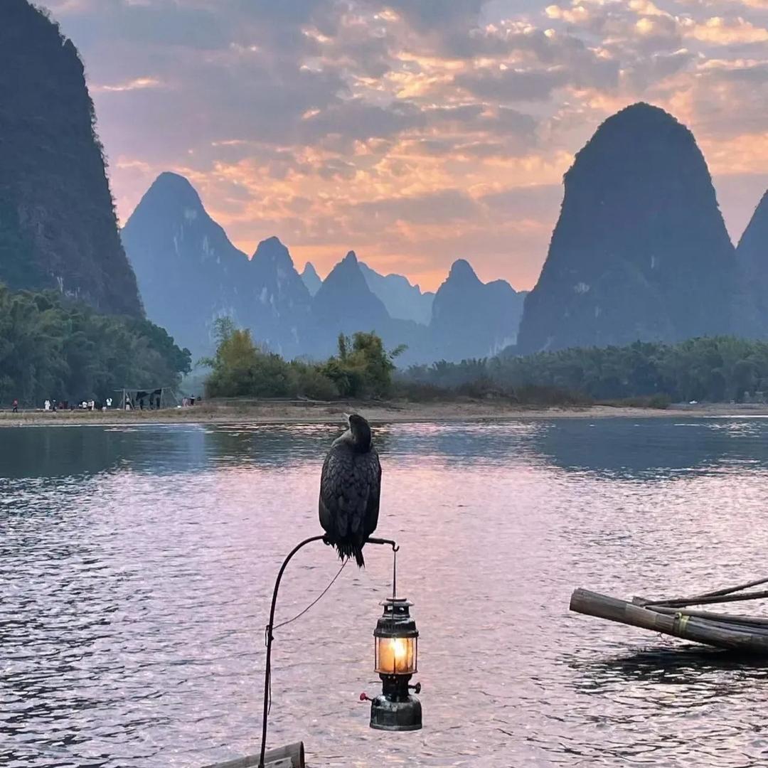 朱古力.💭