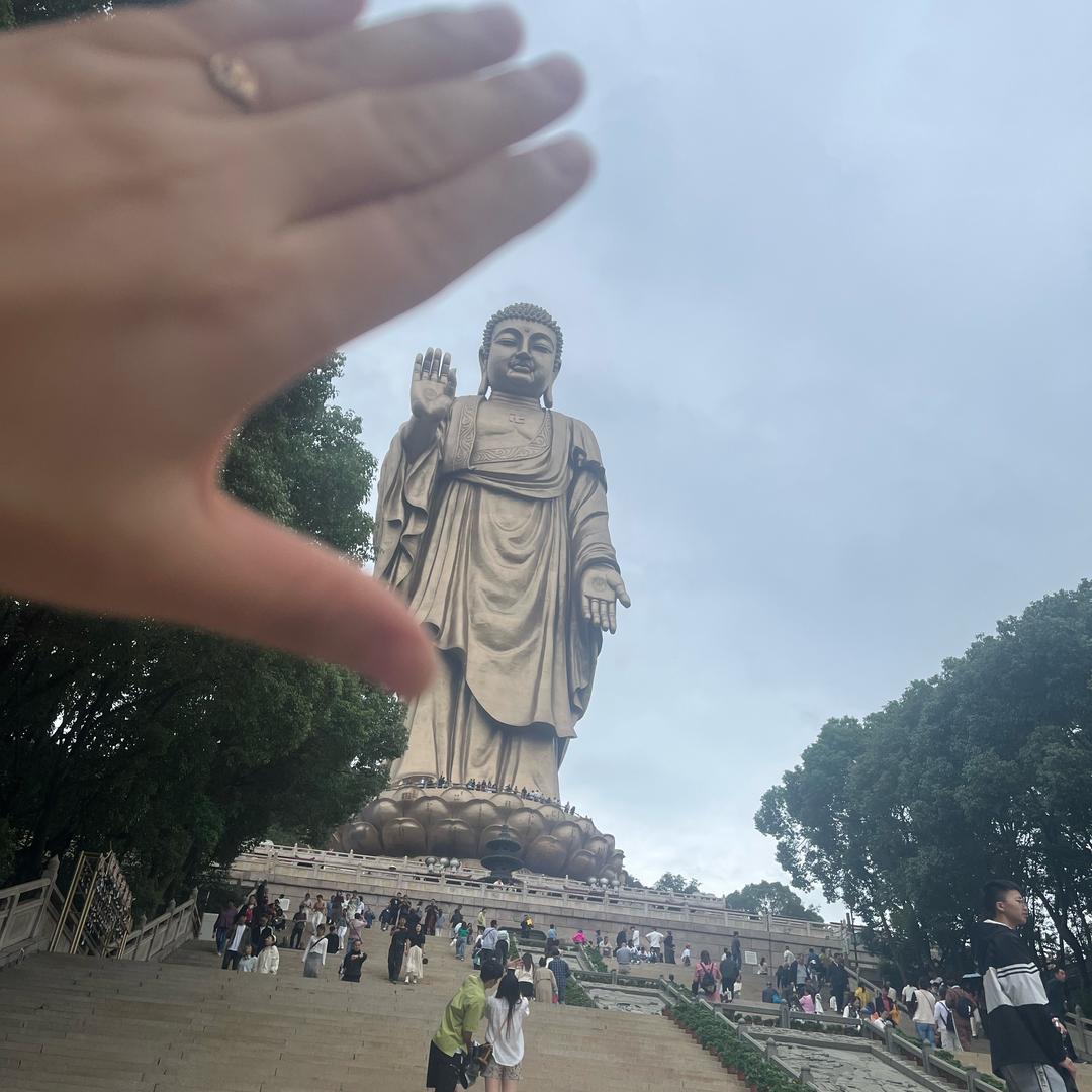 永远美丽的🐑