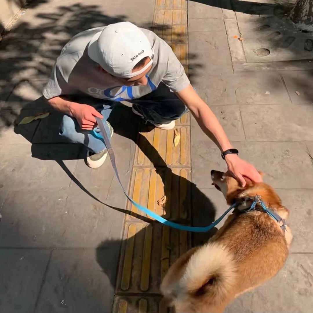 买辣椒也用卷