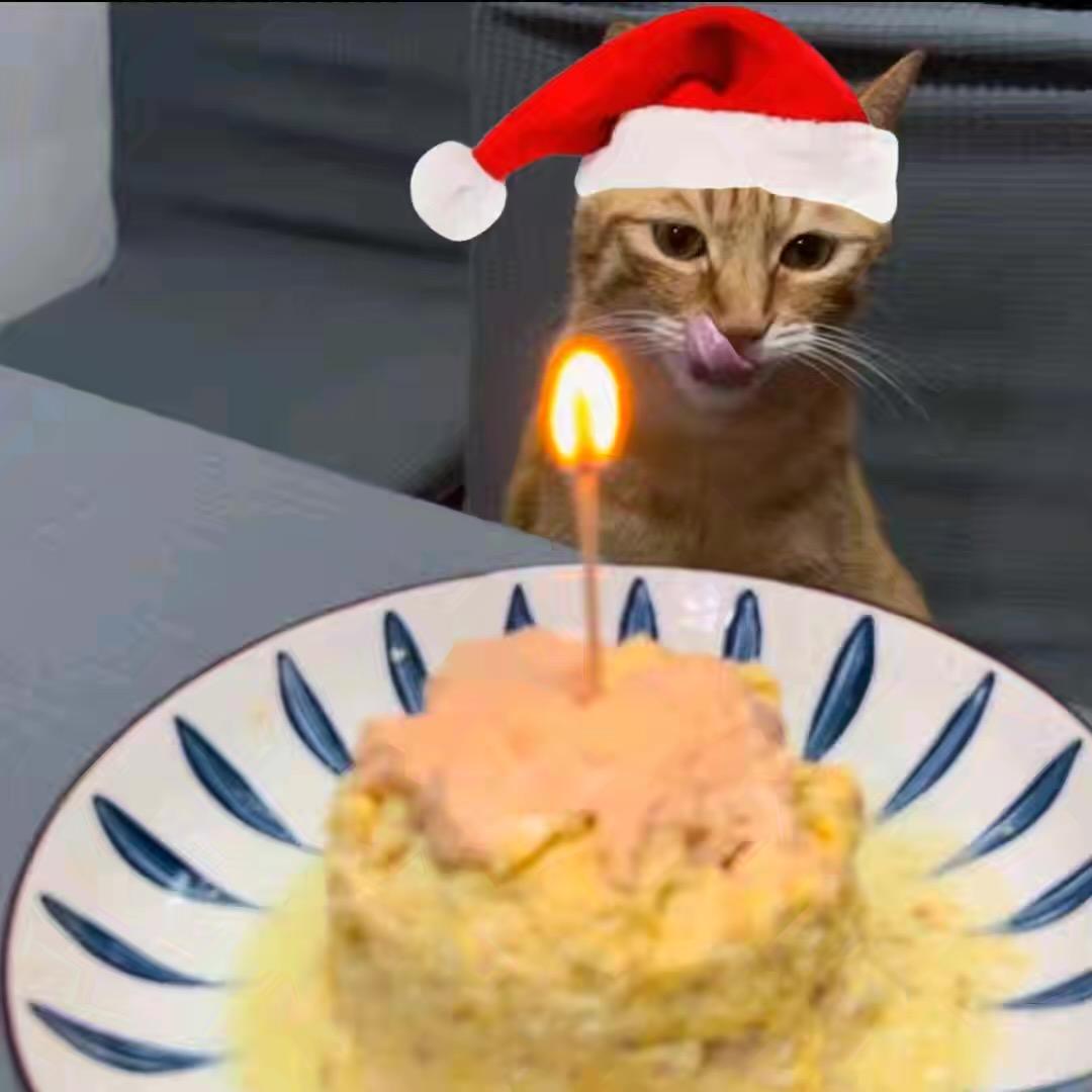 飞机耳的梅太郎