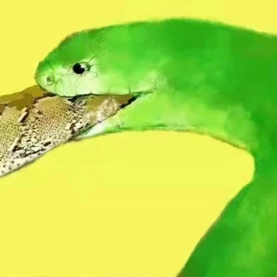 大坤仔