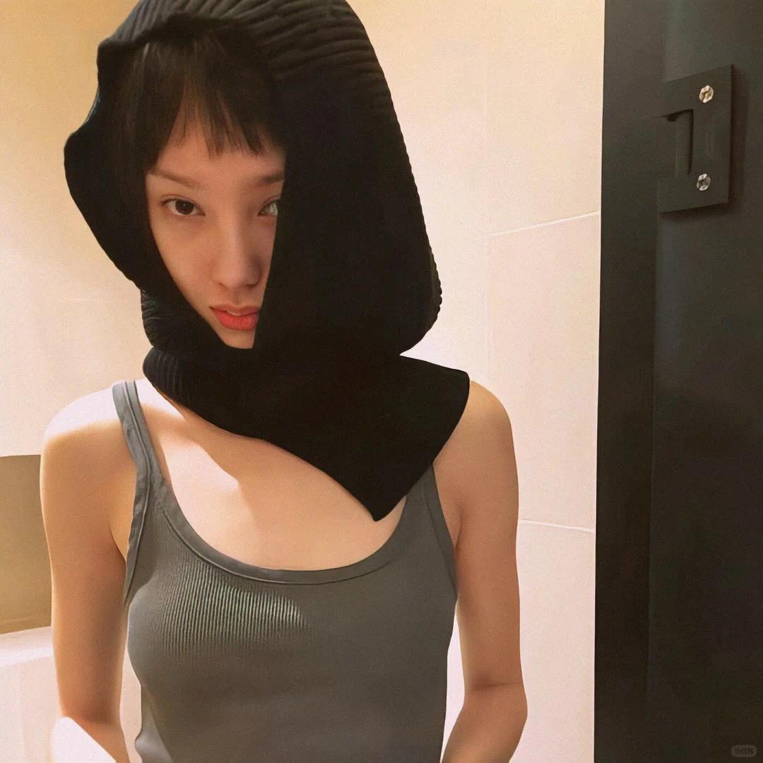 揽月.