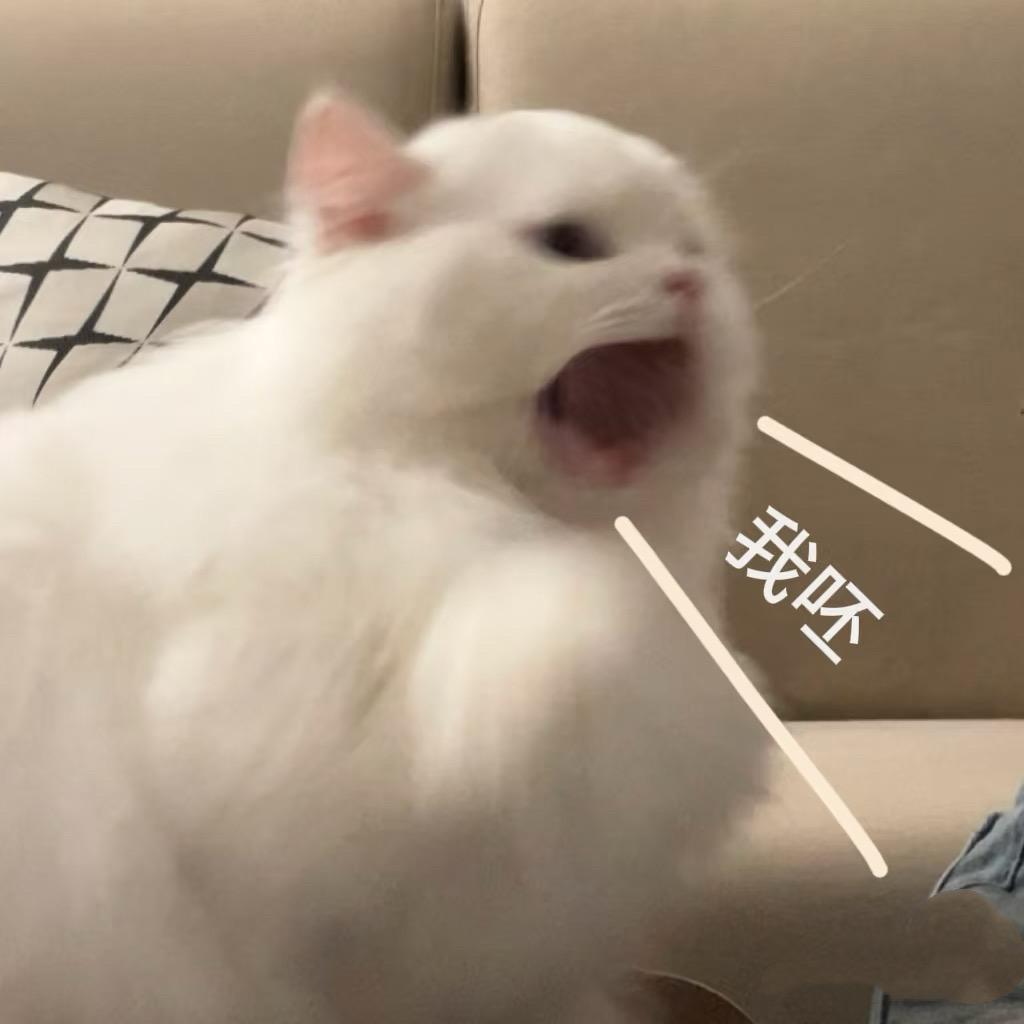 哈尔滨美少女🎀