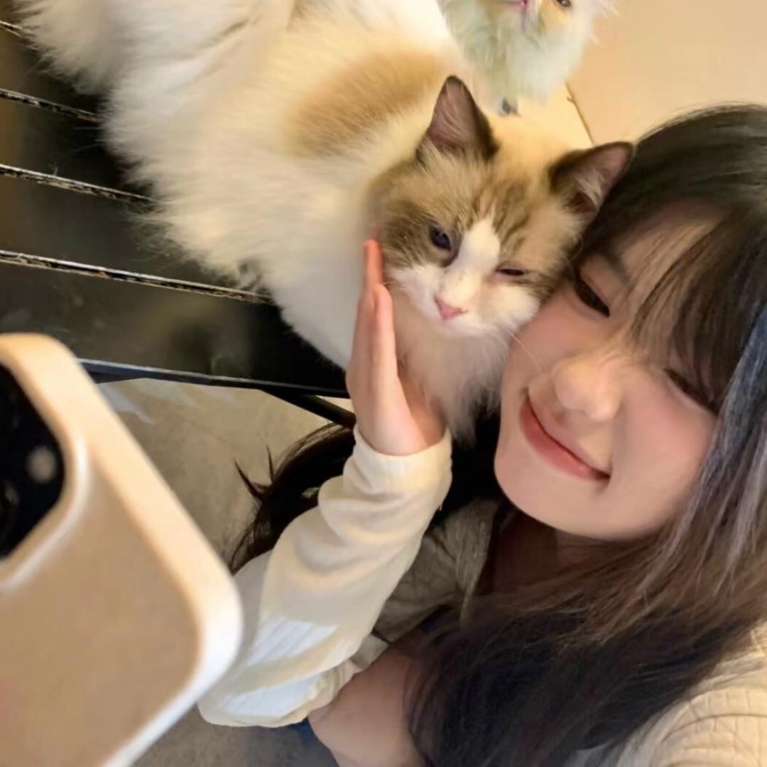 饭零零