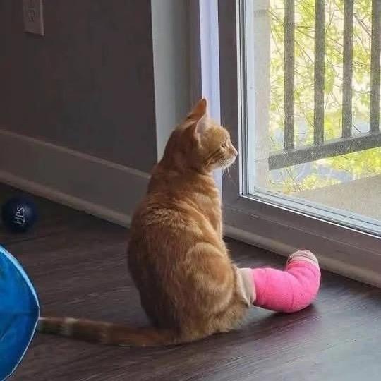 我和我的冤种老师