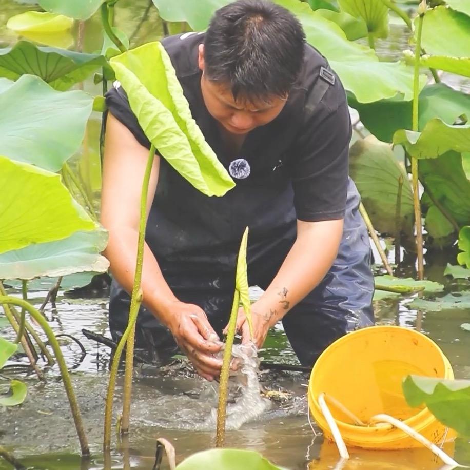 闲不住的小辉哥