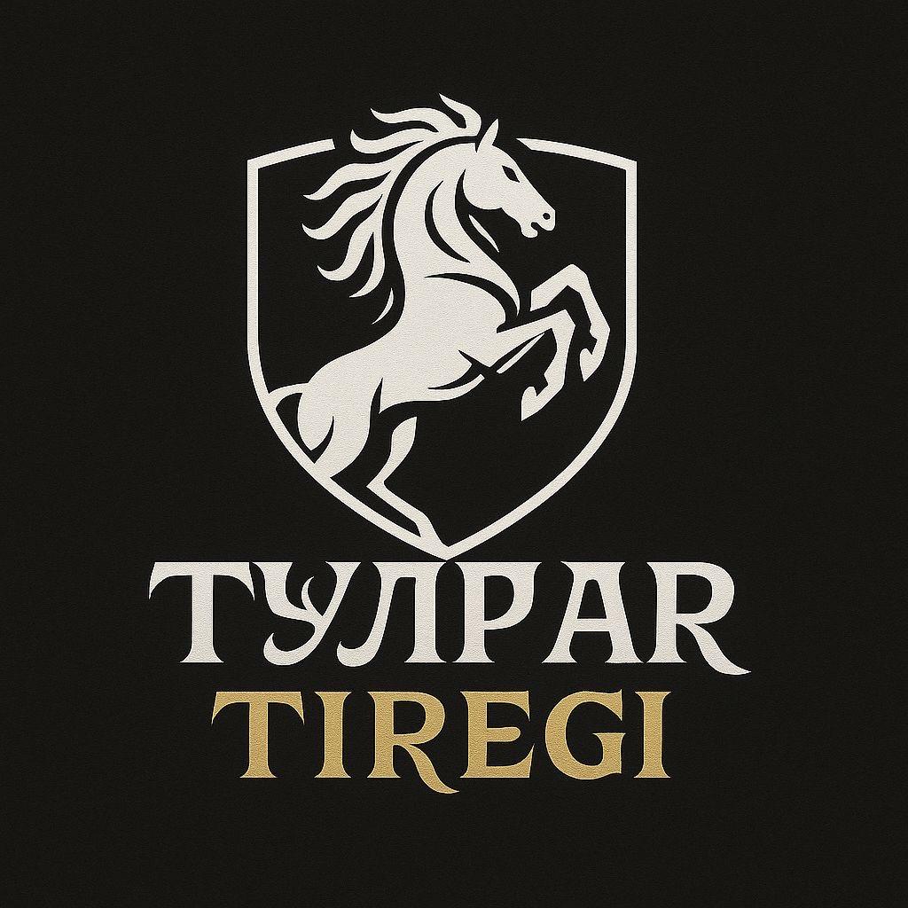 Tulpar_tiregi