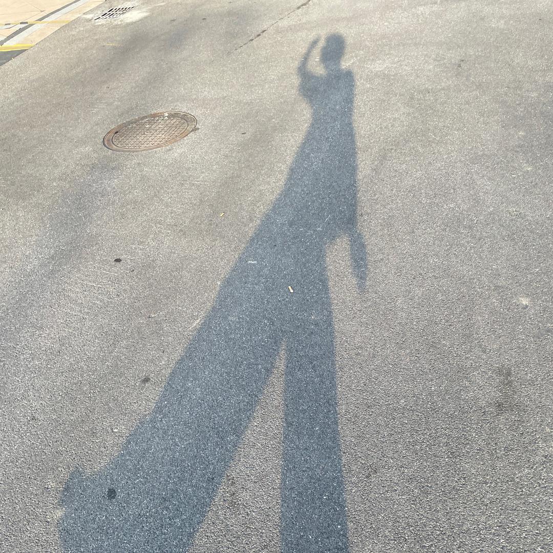 如果Fi是一种病
