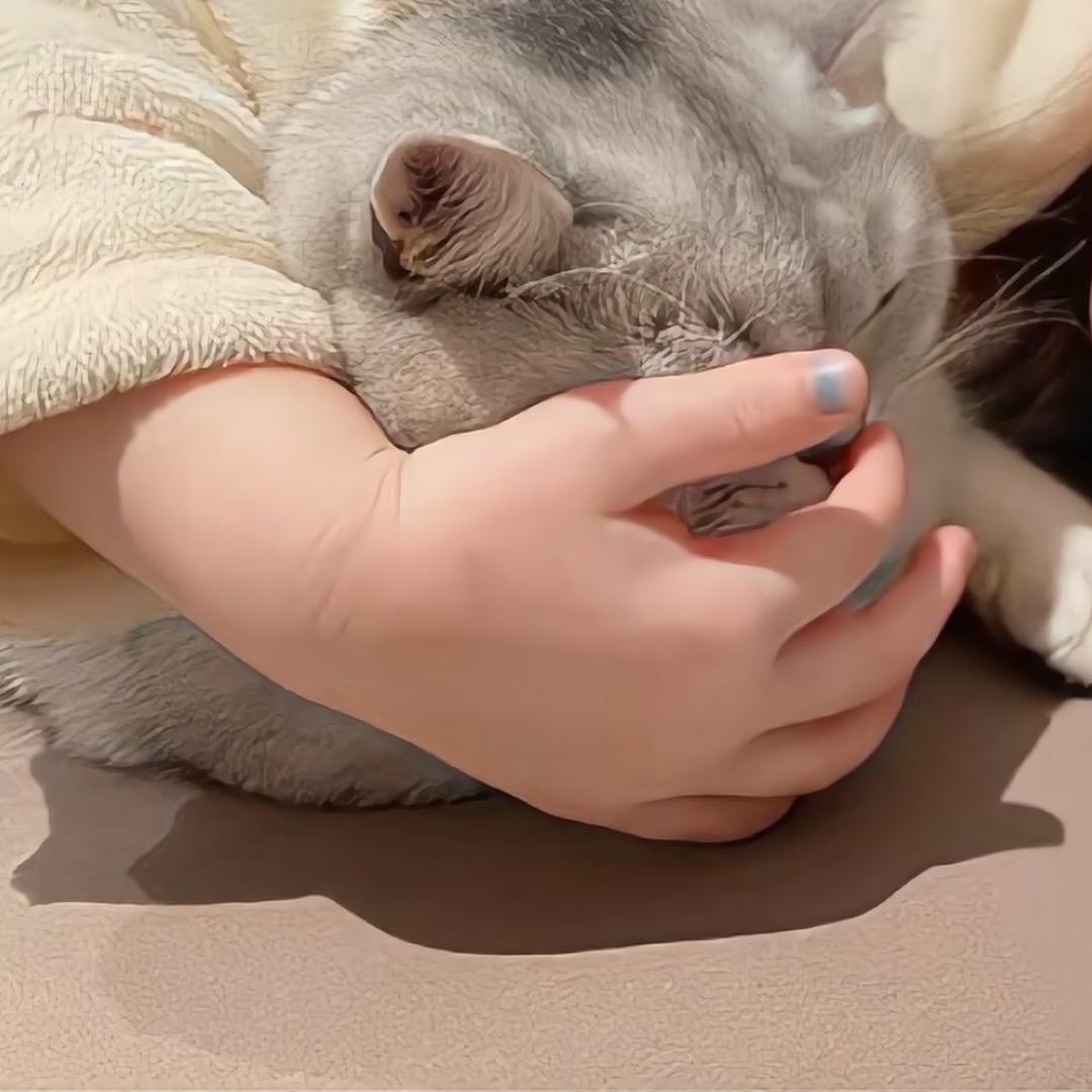 睡觉