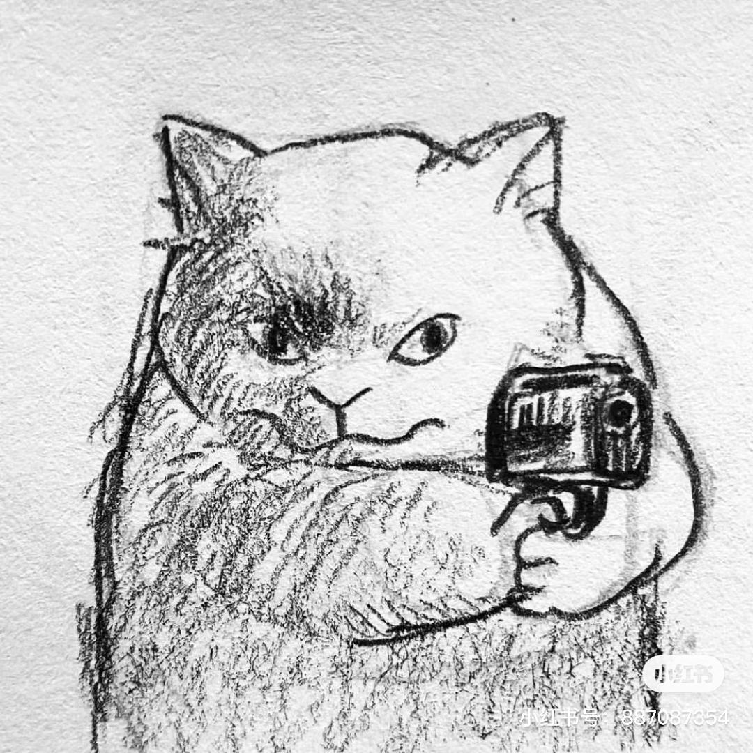 毕加索琪