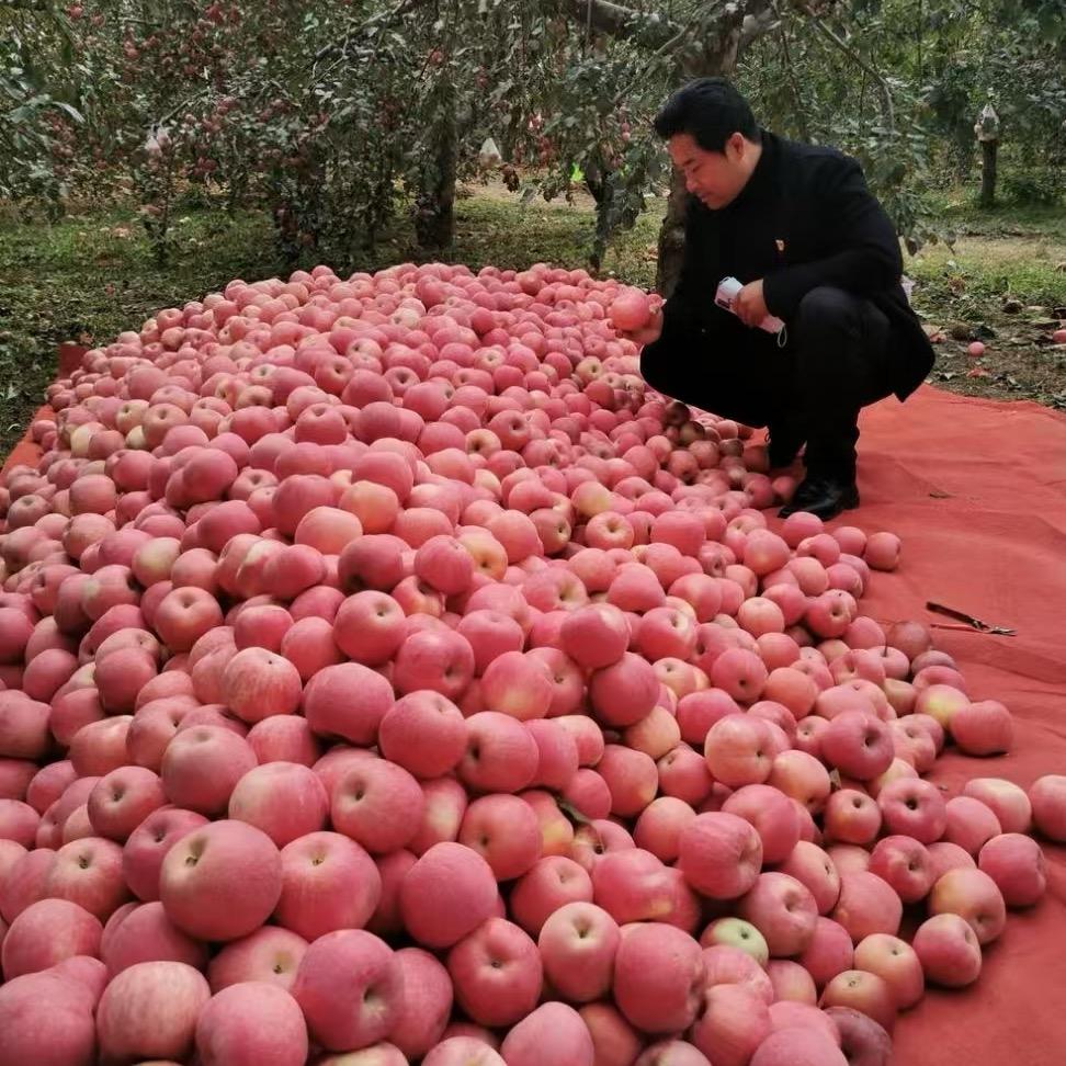 新华村支部书记-马占武