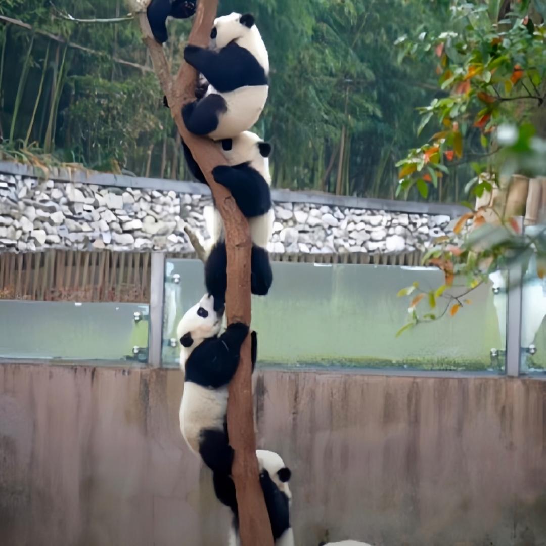 丽美希女包定制