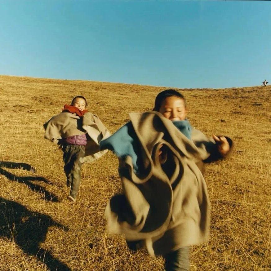 属马的汪先生.