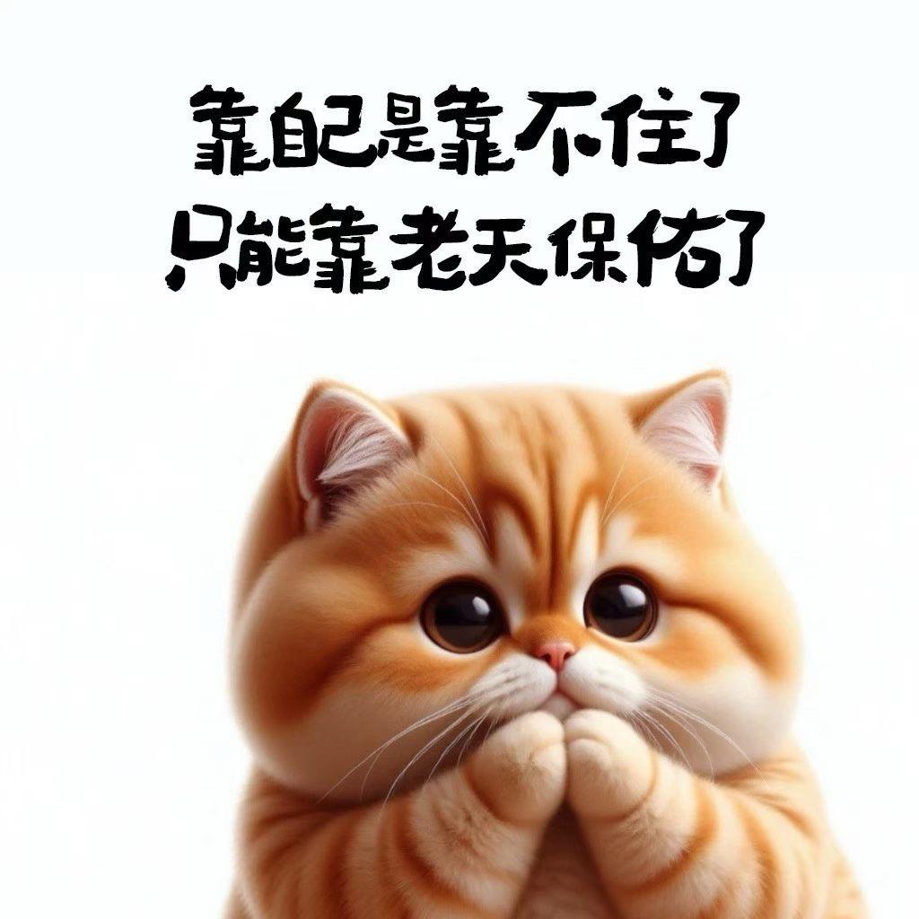 饕餮吾羽