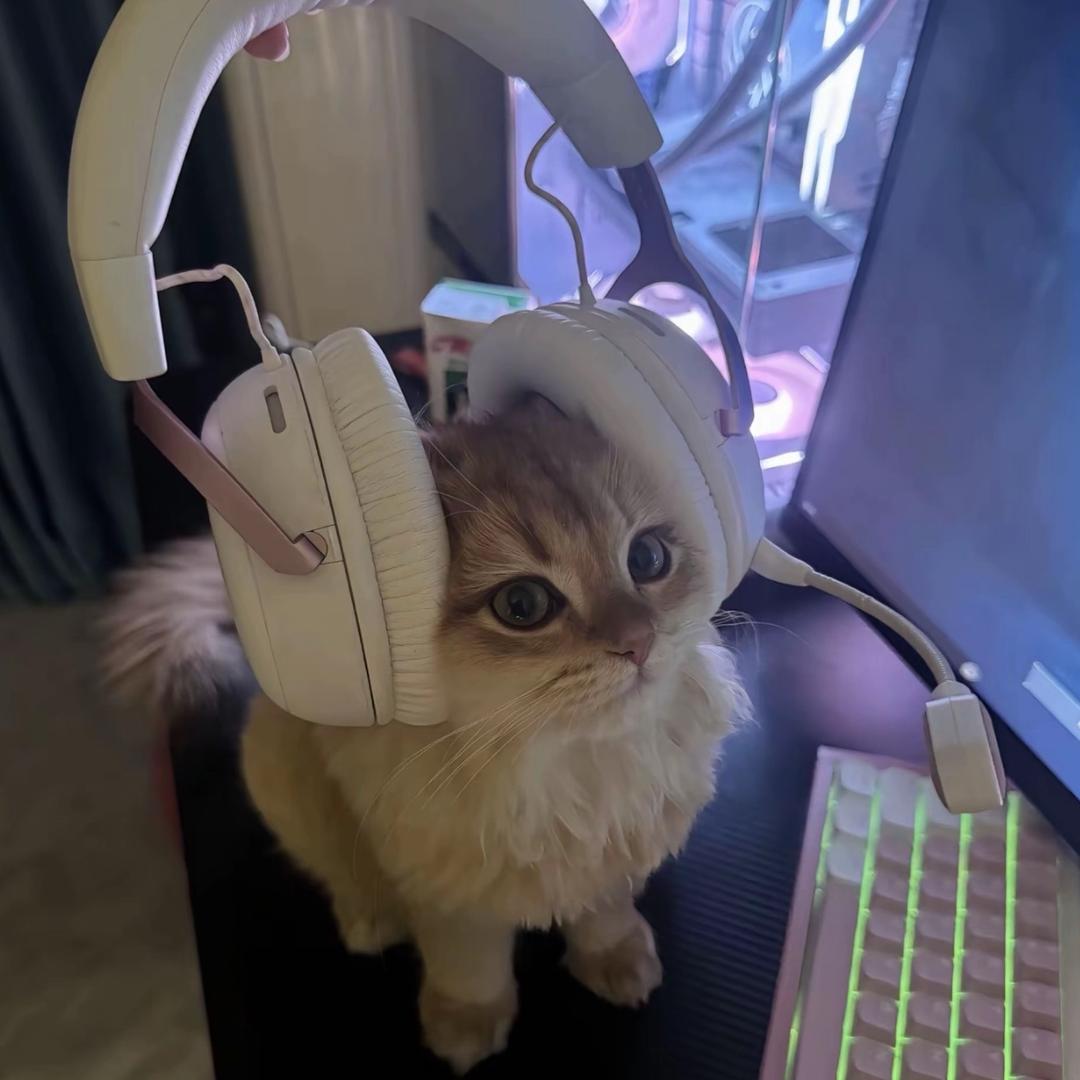 每天鞭打老公一百次