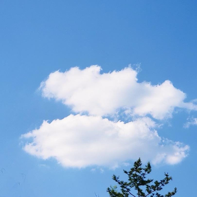 老鱼(趋势_执行力)