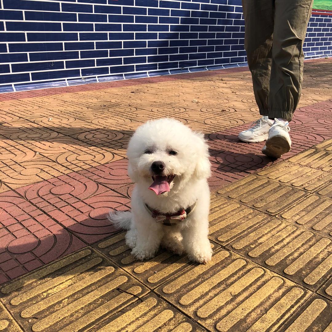仑子