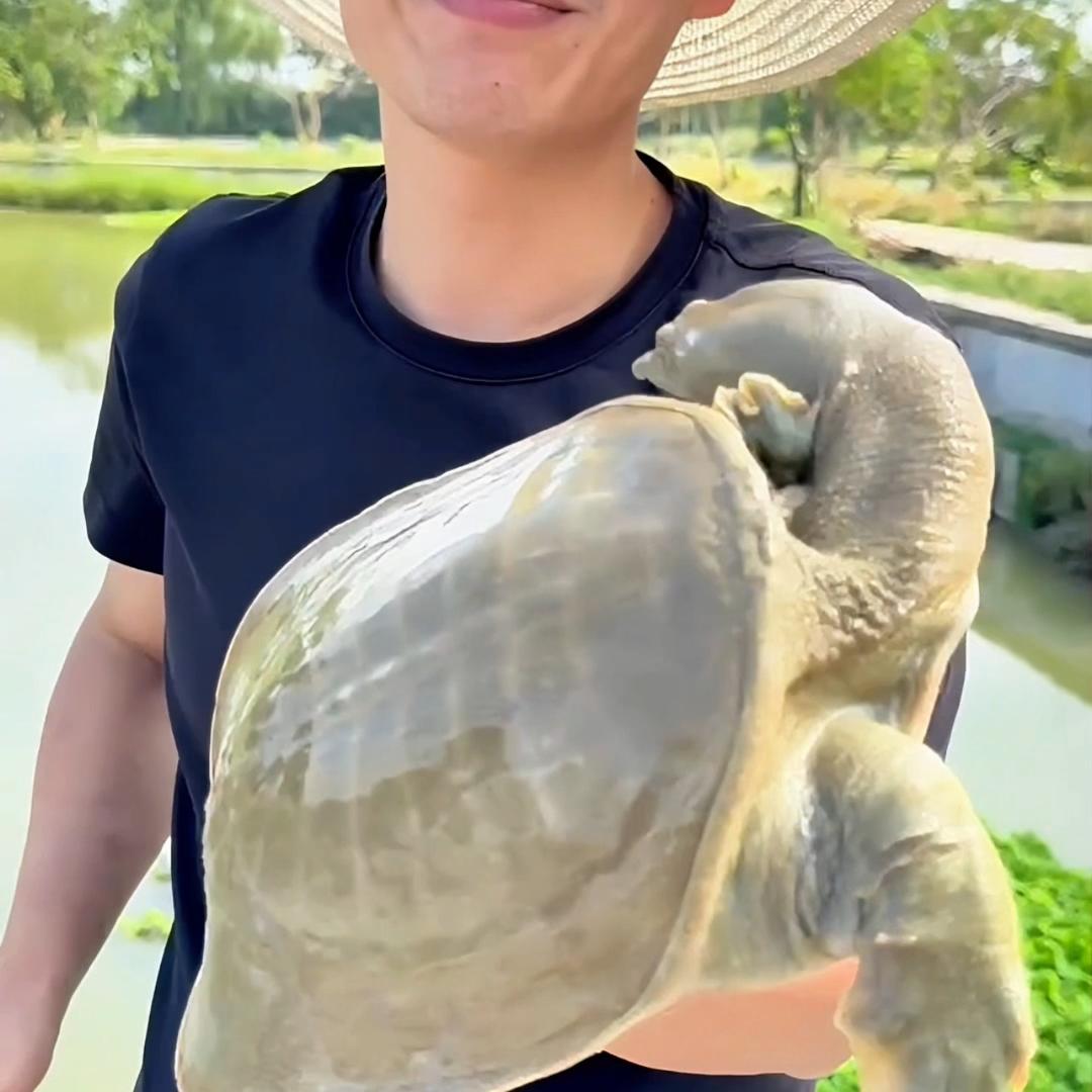 海浙汇新菜研发张超