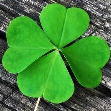 亦不平凡🍀