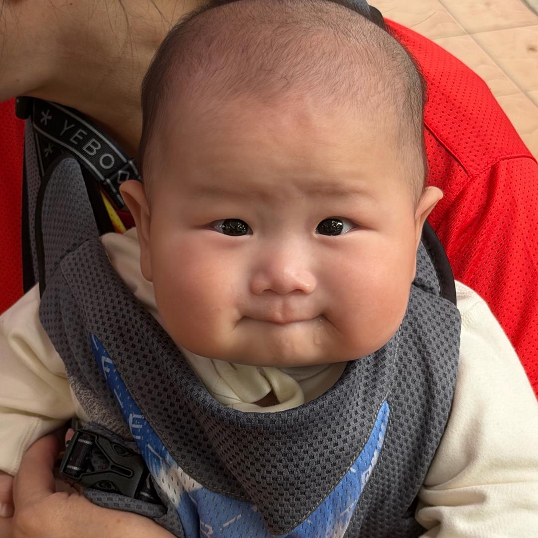 嘟嘟小元宝