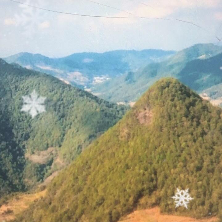 慧紫直播4号