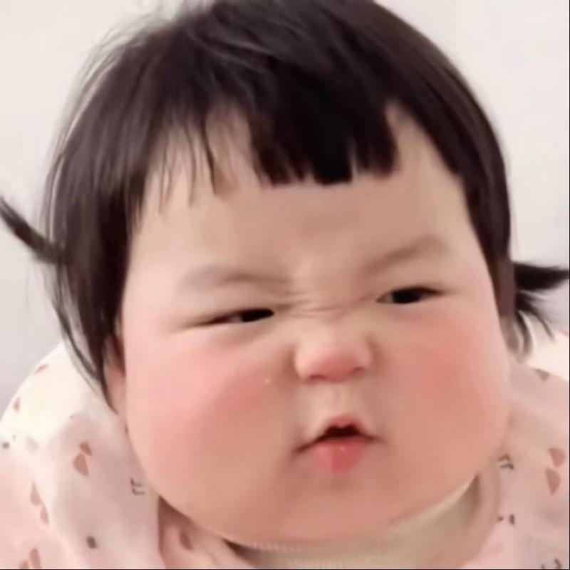 一只土拨鼠
