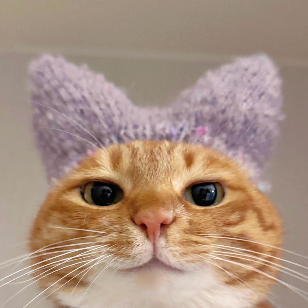 美滋滋熬夜打游戏就是不干正事