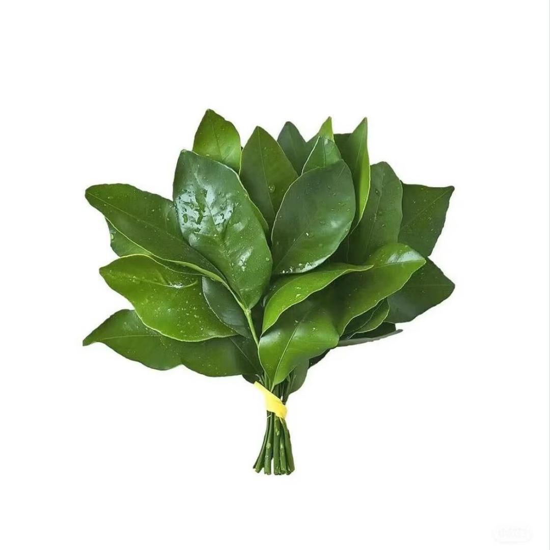 qll