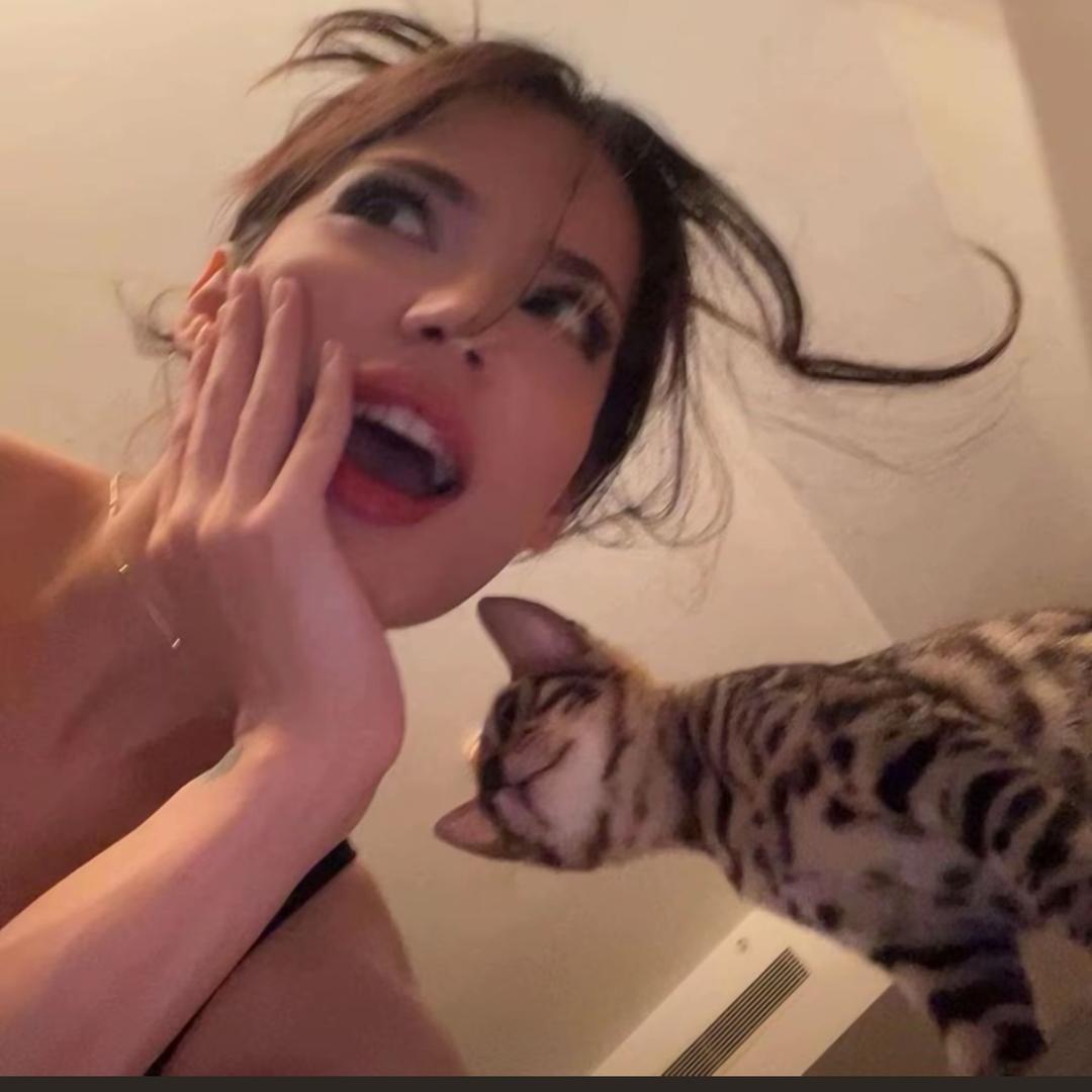 玫瑰花王子弩年
