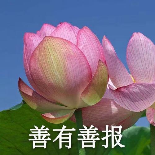 美好时光🌹