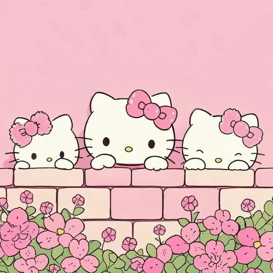 。zzz