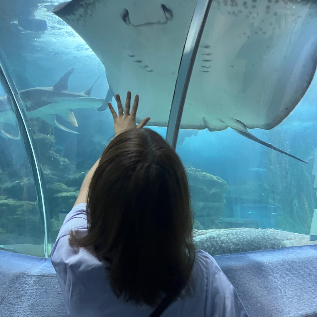 三水两草