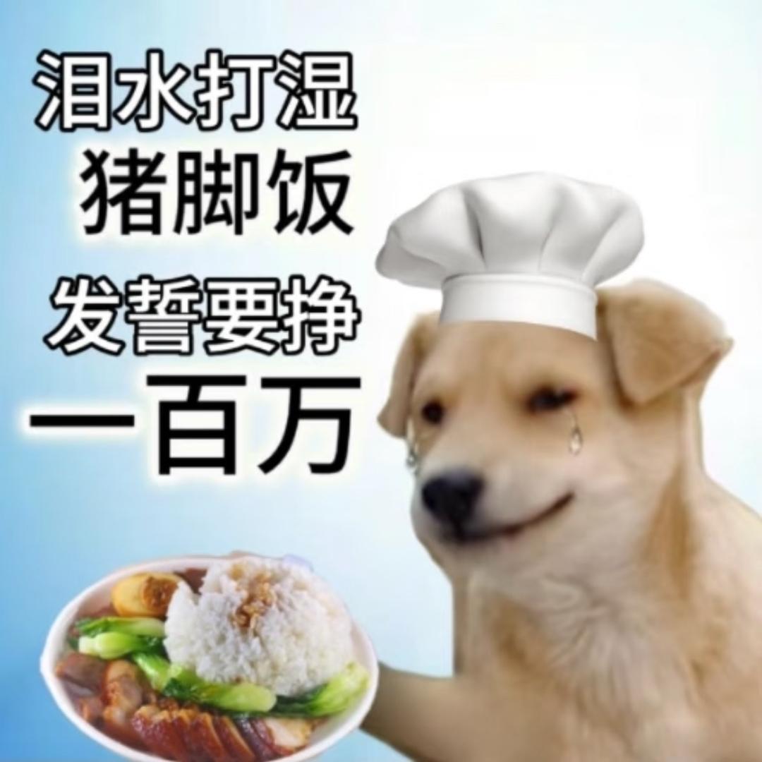 苦命打工人