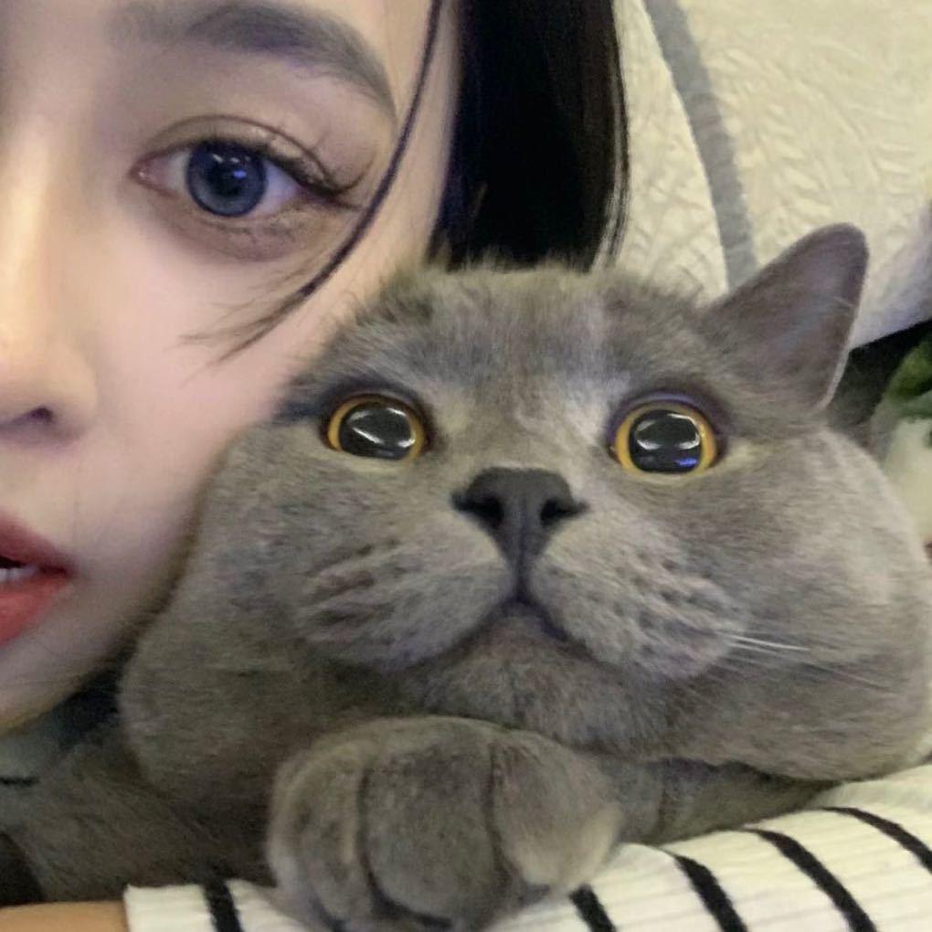 小江同学🧚‍♀️