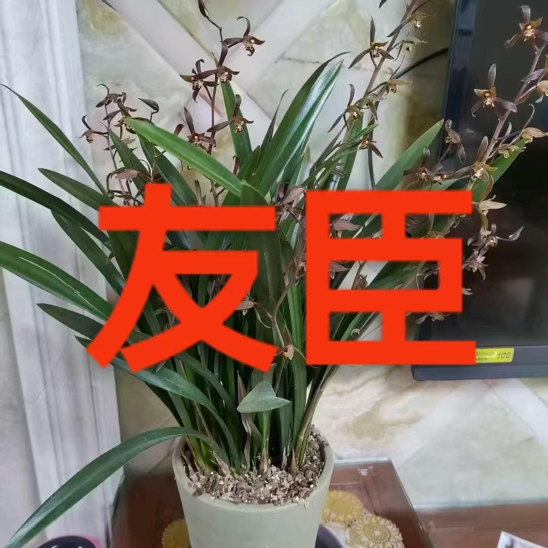 友臣羽绒制品