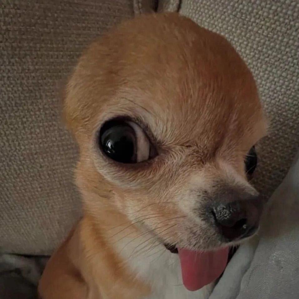 卟